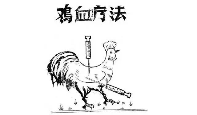 科普：“打雞血”一詞是怎么來的？