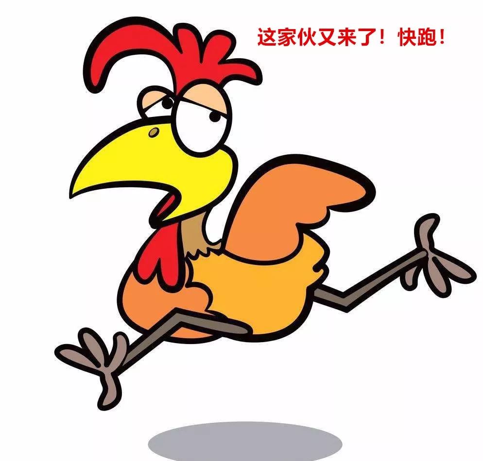科普：“打雞血”一詞是怎么來的？