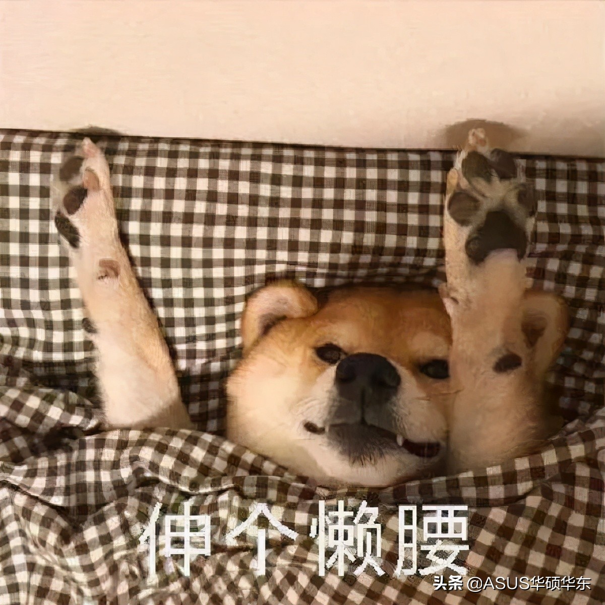 都被微軟騙了，Win10 的關(guān)機(jī)鍵竟然是假的