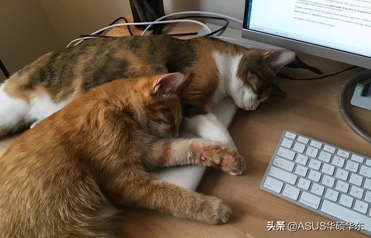 都被微軟騙了，Win10 的關(guān)機(jī)鍵竟然是假的