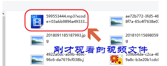 網(wǎng)絡(luò)視頻不支持下載？小租教你快速下載，太方便了！