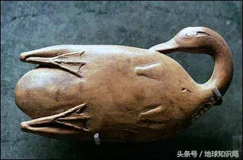 中東流傳已久的這個(gè)禁忌，你真的知道原因嗎｜地球知識(shí)局