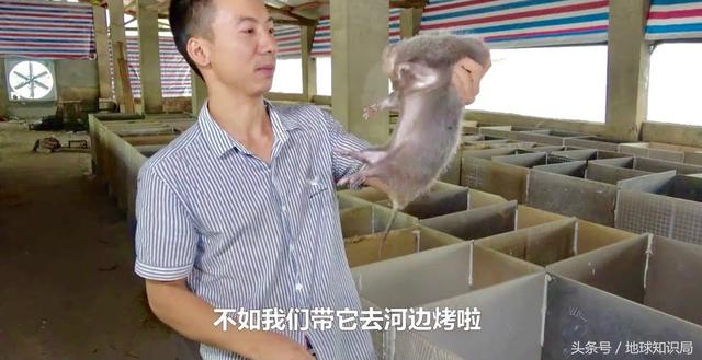 中東流傳已久的這個(gè)禁忌，你真的知道原因嗎｜地球知識(shí)局